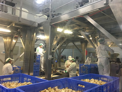 三里人家勁家莊之旅 探訪國家AAA級旅游工廠，解鎖游樂園式服務(wù)新體驗(yàn)